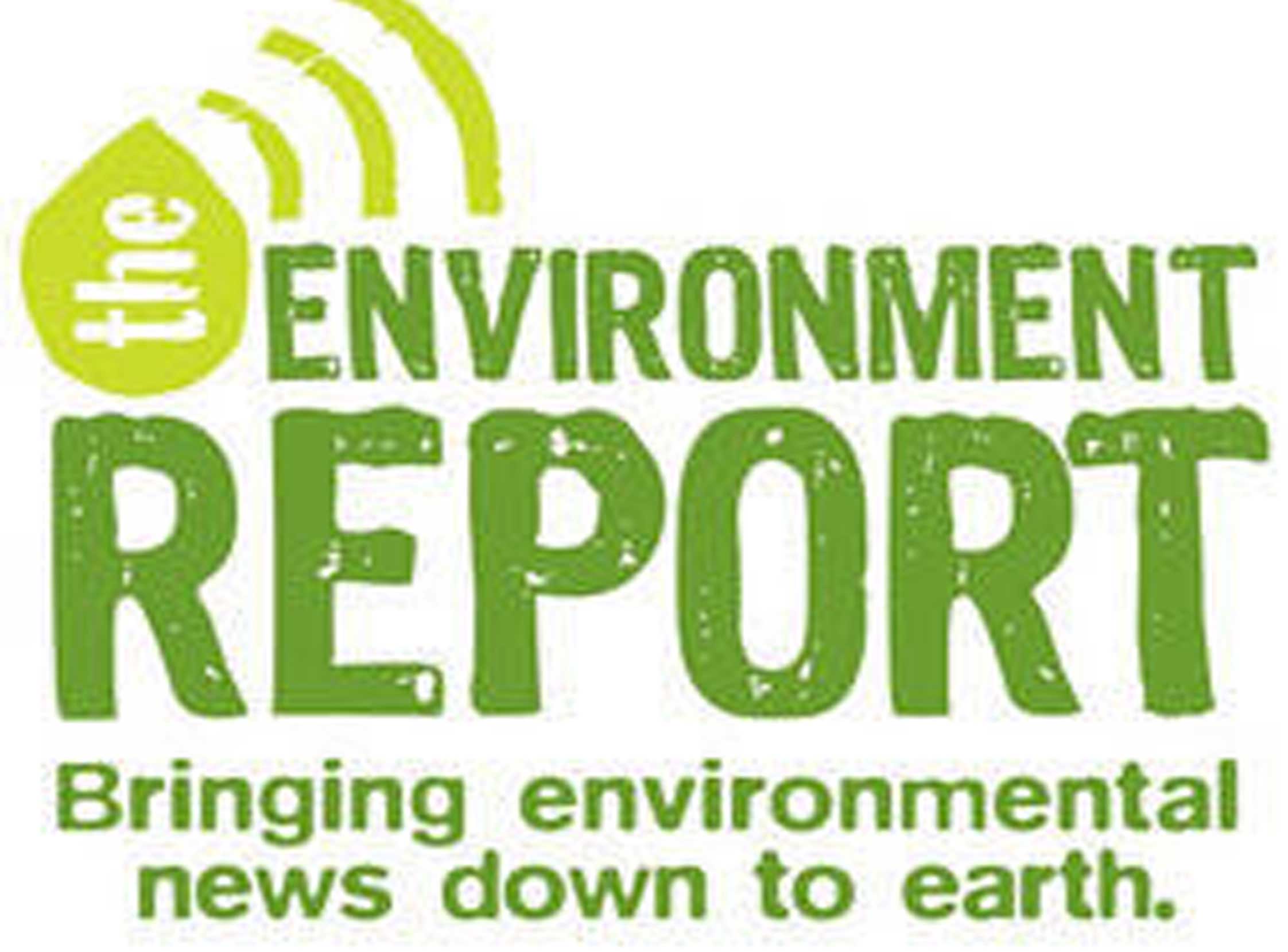 Environmental Project Report Services image